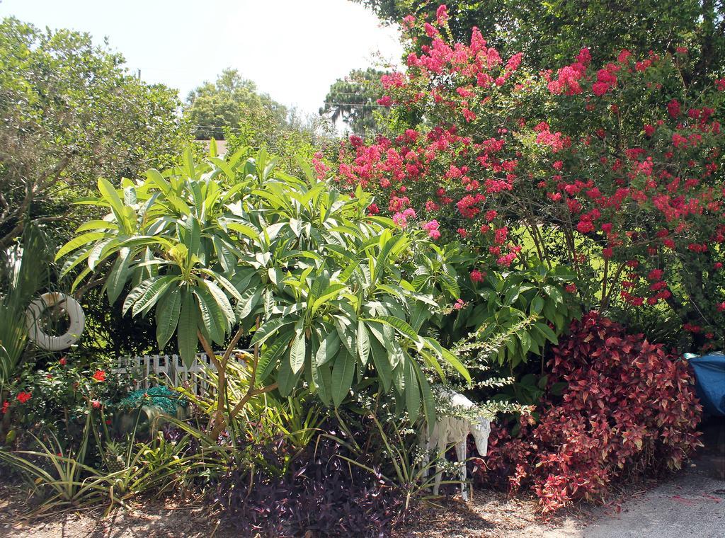 Heron Cay Lakeview Bed&Breakfast Mount Dora Exterior foto