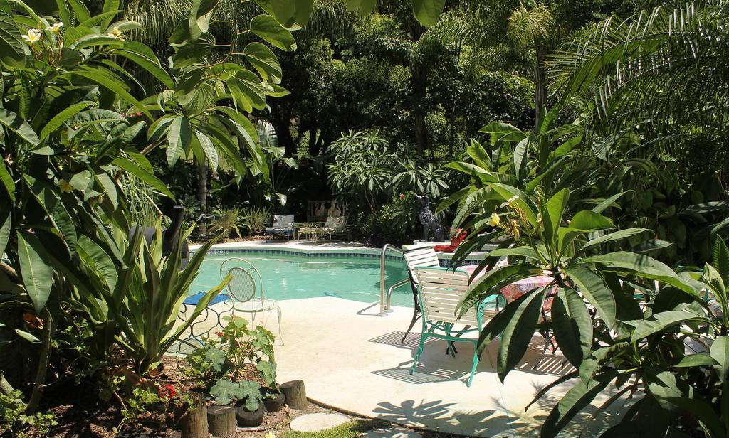 Heron Cay Lakeview Bed&Breakfast Mount Dora Exterior foto